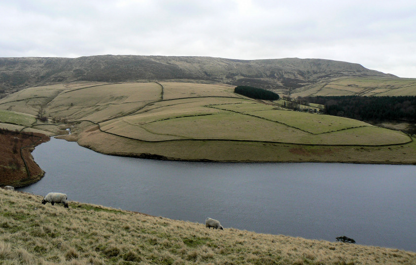 Kinder Low Kinder Low